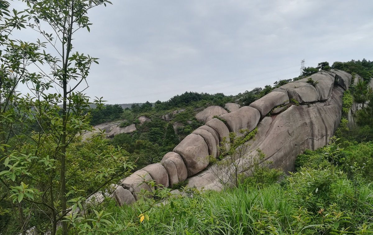 温州大罗山