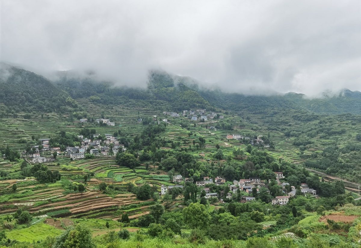 天台翠屏乡莲花梯田