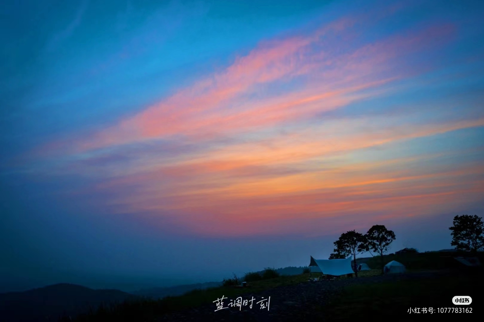 寻找.初夏